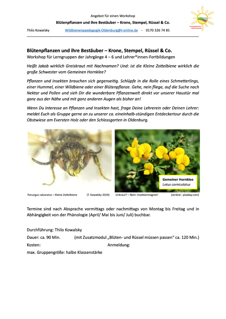 blüten bestäuber hp